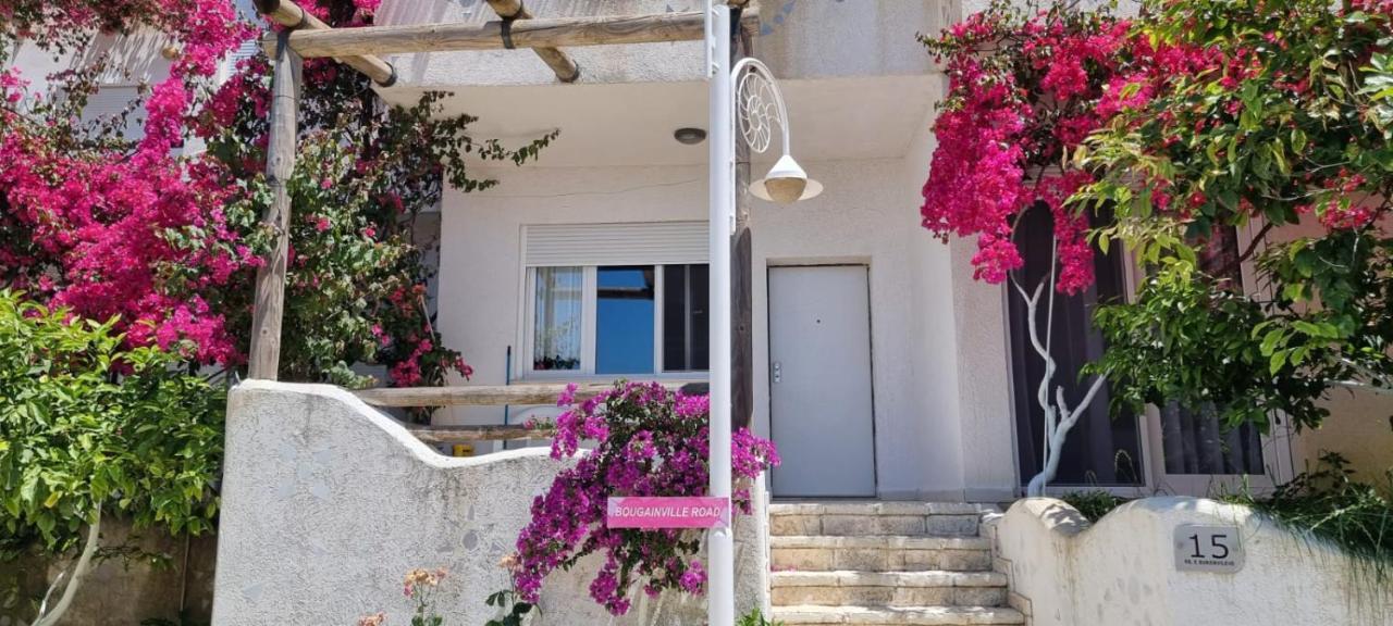 15 Bougainville * Sarandë