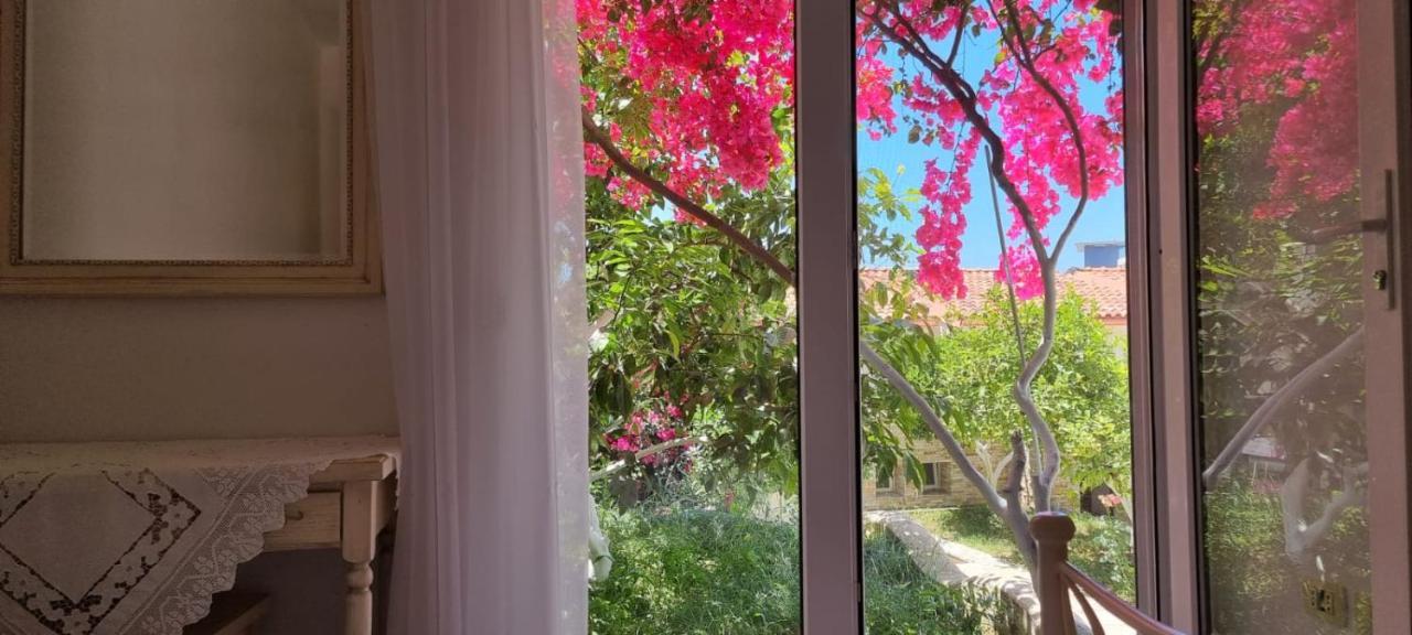 15 Bougainville Sarandë
